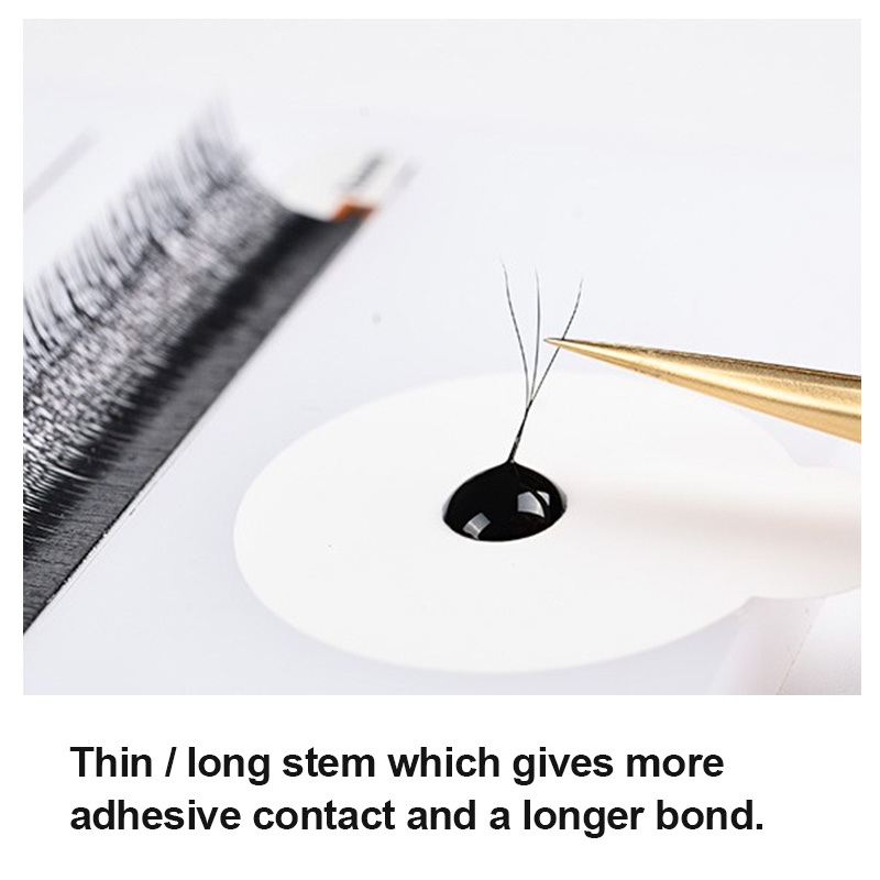 LAGEE 3D 4D 5D 6D W Shape Eyel - Eyelash Extension Course recension och pris